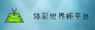 使用指南与常见问题